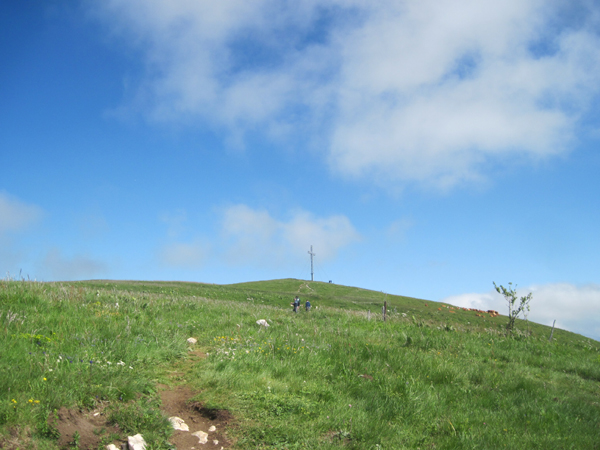 cx Colombier
